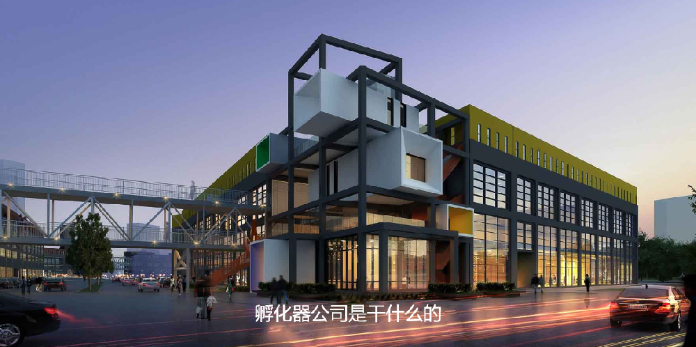 孵化器公司是干什么的(孵化器公司注册条件有哪些)
