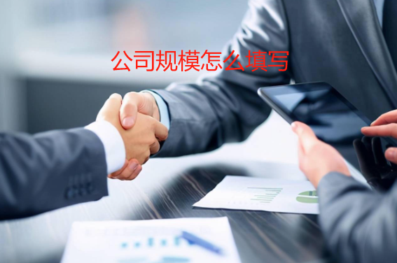 公司规模怎么填写(企业资产规模项怎么写)