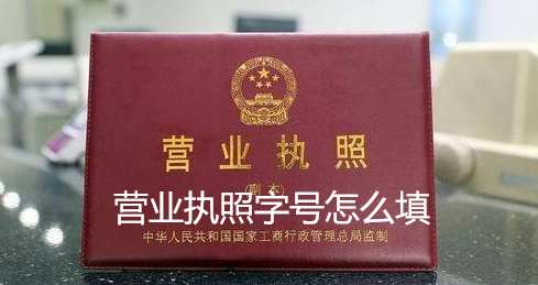 营业执照字号怎么填