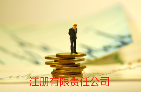 深圳注册有限责任公司条件及材料