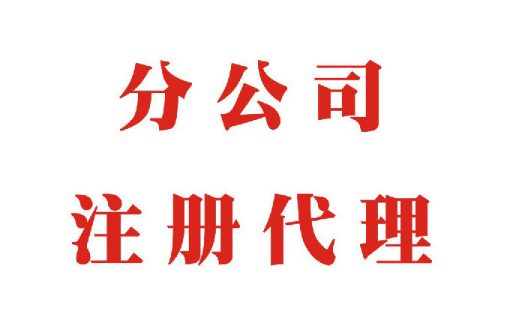 注册分公司需要哪些资料